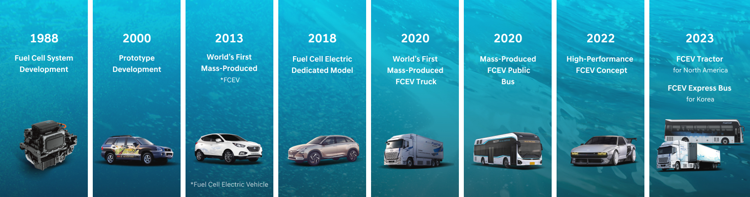 30 years of hydrogen fuel cell research and development